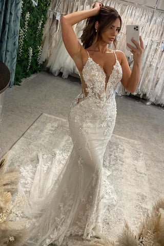 Fairy Chic Mermaid V Neck Lace Wedding Dresses with Appliques